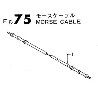 FIG 75. MORESE CABLE