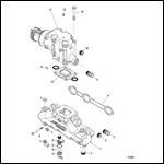 Exhaust Manifold and Elbow