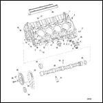 Cylinder Block And Camshaft