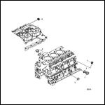 Cylinder Block Plugs